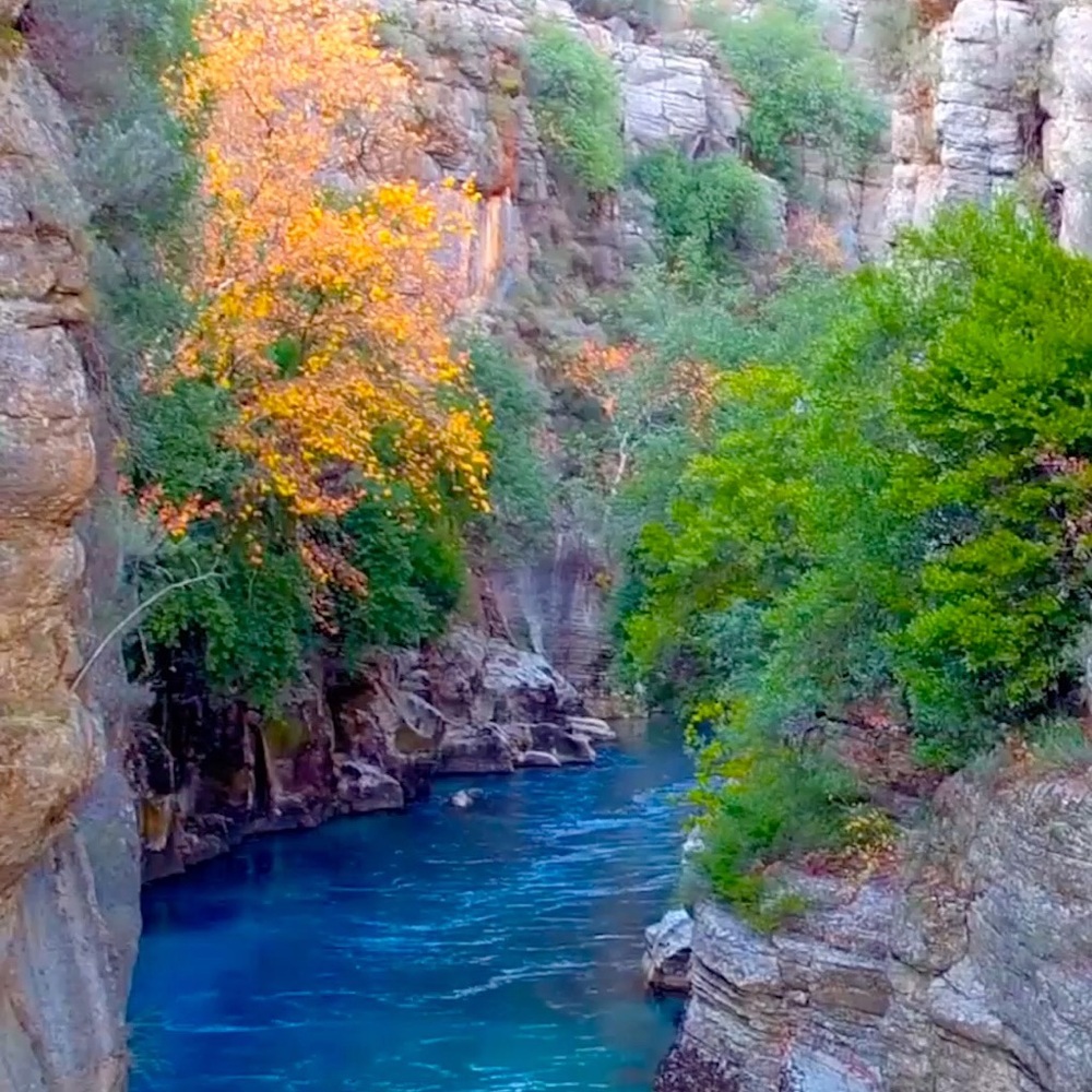 Meet your Posher, Sylvia